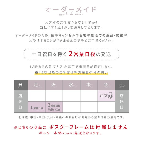 サイズ比較