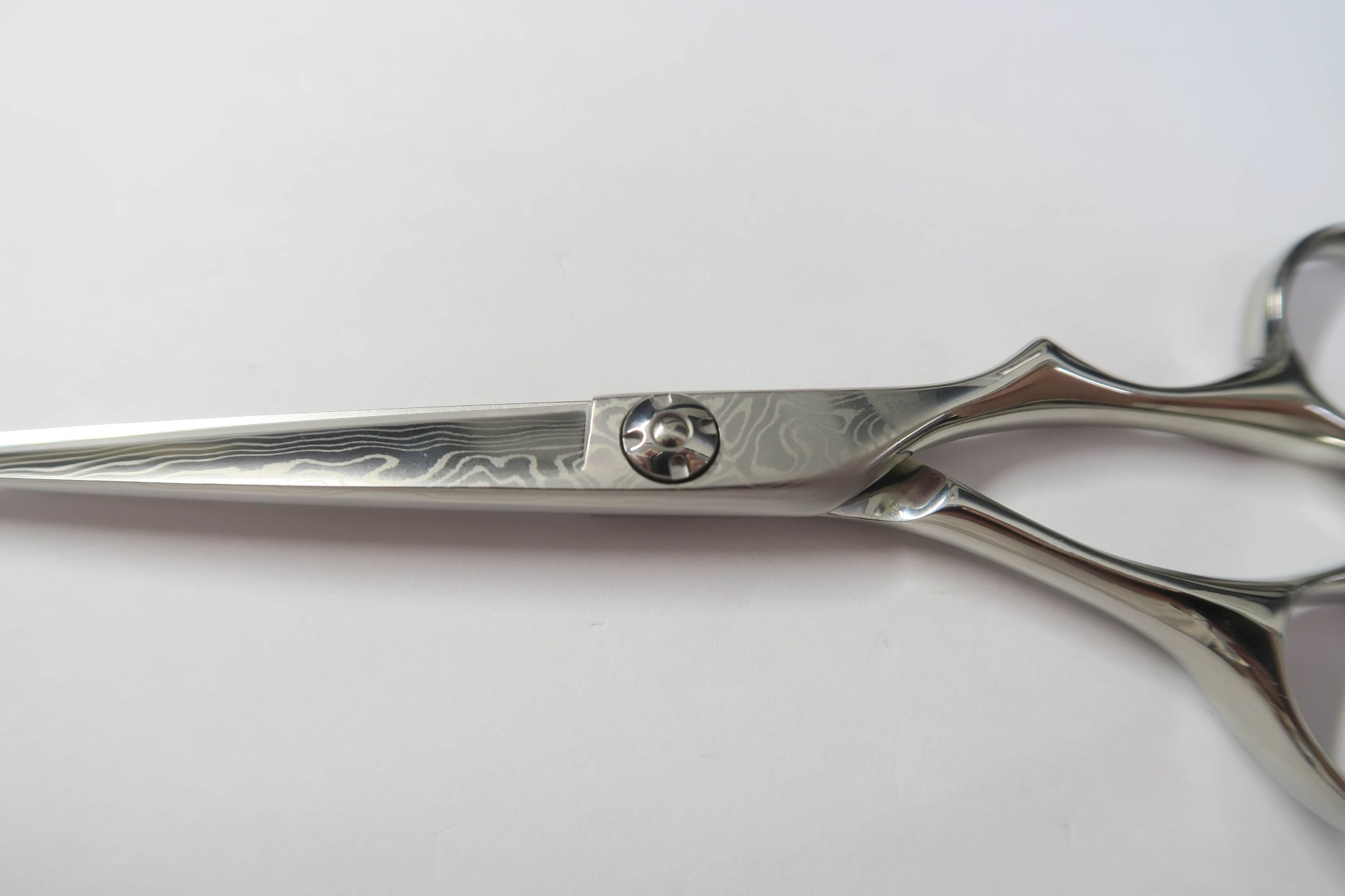 A��󥯡�PRIMERD �ץ�ޡ��ɡ� Parallel 50 �ѥ��� 50 ������ ���ƻա����ƻ� 5.0����� ������ ����š�:H-9585