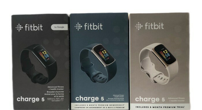 フィットビット スマートウォッチ（売れ筋ランキング） 【Suica対応】Fitbit Charge 5 トラッカー [最大7日間のバッテリーライフ/GPS搭載/スマートウォッチ]