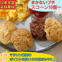 【マラソン P2倍 & 1000円ポッキリ & 5%オフ 】スコーン 訳あり お試し 20個 10個 詰め合わせ 一口サイズ お徳用 まかないスコーン セット 北海道産 バター ポスト投函 手作り 朝食 軽食 おやつ スイーツ 焼菓子 お買い得 アフターヌーンティ ティータイム コーヒー 紅茶