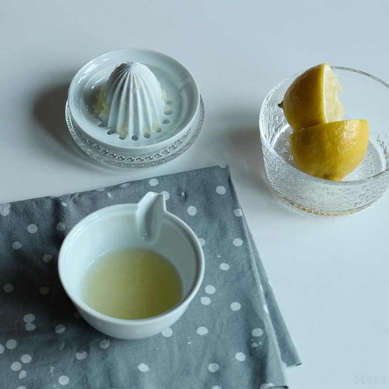 東屋 / ジューサー No.3