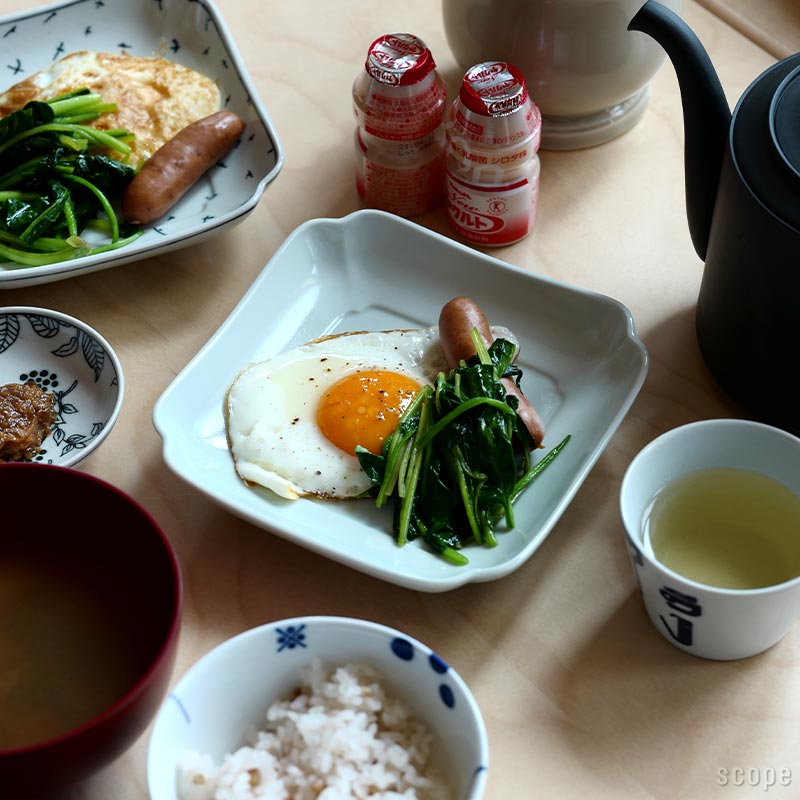 東屋 / 木瓜角皿 土灰 正角