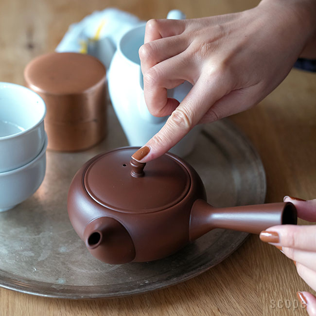 東屋 / 平急須 横手 並細