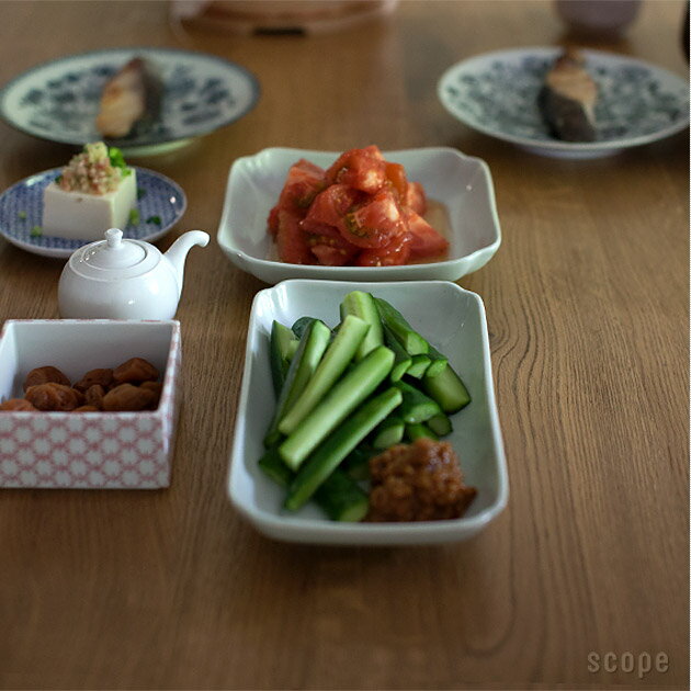 東屋 / 木瓜角皿 土灰