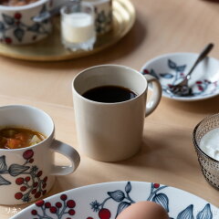 https://thumbnail.image.rakuten.co.jp/@0_mall/scope/cabinet/iittala/iia18a11_a_im01.jpg