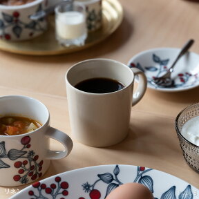 【5月7日以降5月9日までに発送】イッタラ / ティーマ マグカップ 0.3L [iittala Teema]