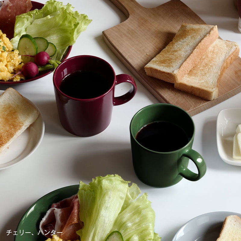 イッタラ / ティーマ マグカップ 0.3L [ iittala Teema ]