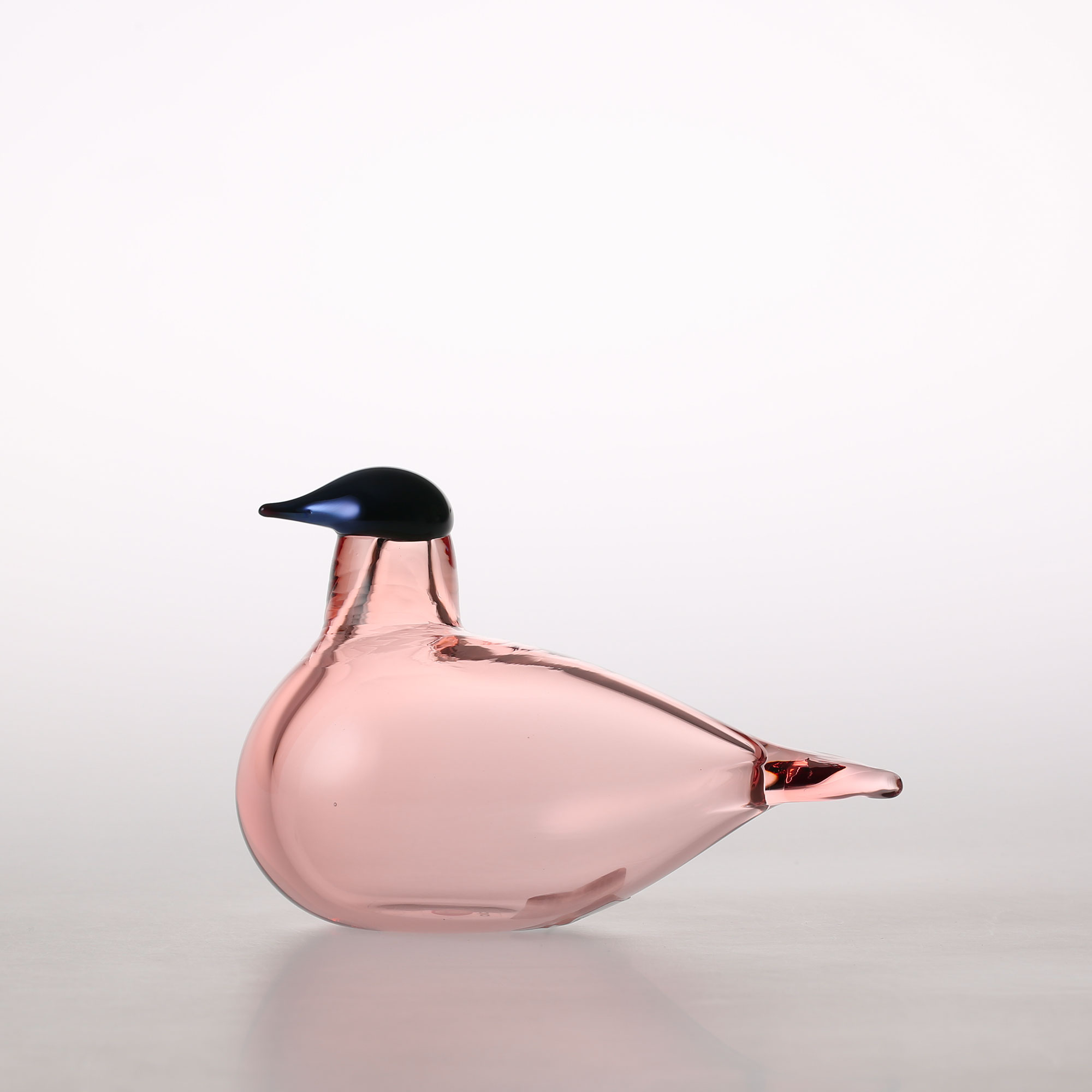 0012ۥå / С Х  ȥå Chiffchaff ԥ [iittala / Birds by Oi...