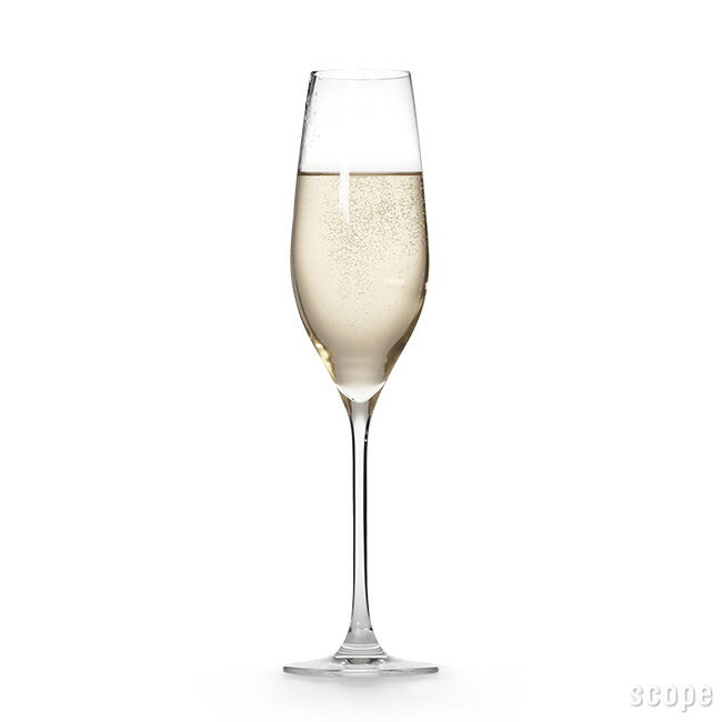 ホルムガード / カベルネ シャンパングラス 単品 [ Holmegaard / Cabernet ]