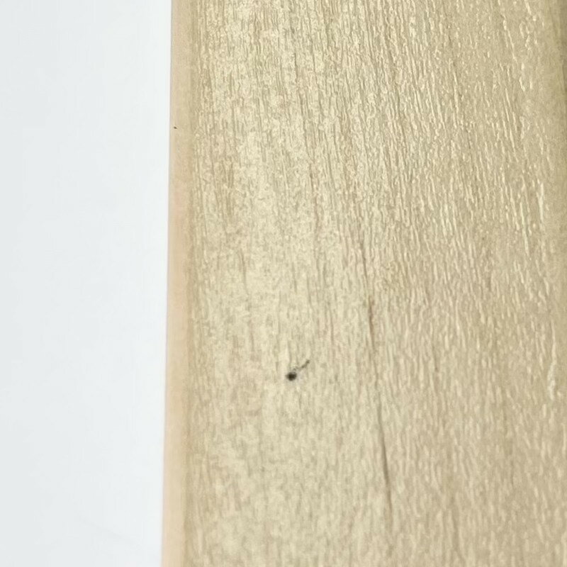 【1点購入につきアルテックノベルティプレゼント！】【ワケあり ★★★】 アルテック / 90D Table 円形 48cm リノリウム アイアン 21 0007 [artek table]