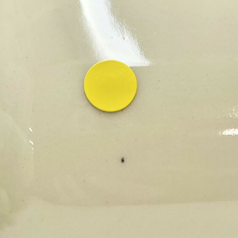 【ワケあり ★★★★】 スコープ / キッチンツールキャニスター 箸立て グレー 0011 [SCOPE][1月10日昼12:00〜1月11日昼11:59 限定]