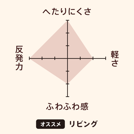 【5月7日以降5月9日までに発送】スコープ / インナークッション ホワイトダックダウン [scope]