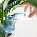 自動 給水器 観葉植物 水やり器 可愛い 鳥型 自動水遣り器 鉢植え 植物 園芸 盆栽 留守用 花 水やり当番 ガーデニング 旅行 枯れない
