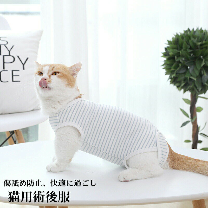 猫用術後服 去勢手術 ペット用術後服 用品 猫用 犬用 柔らかい 軽量 傷舐め防止 術後 噛む防止 服 コッ..