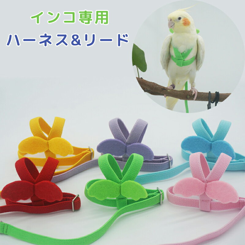 フライトスーツ インコ用ハーネス リード 鳥 インコ おむつ 小鳥 鳥用ハーネス かわいい 天使の羽付き ..