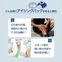 アイスバッグ Sサイズ Mサイズ 固定バンド 3点セット アイシングバッグ 氷嚢 氷のう サポーター 熱さまし 風邪 ケガ スポーツ