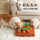 犬おもちゃ 犬遊び にんじん ノースワーク ぬいぐるみ 人参 嗅覚訓練 12個タイプ 犬歯磨き ペット玩具 ストレス発散 ペットおもちゃ 小型犬 中型犬 運動不足 犬用おもちゃ 猫用おもちゃ ペットトイ ぬいぐるみ 送料無料 動物 丈夫 ペット用品 知育玩具 犬噛むおもちゃ