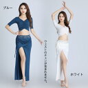 ダンス衣装 ベリーダンス衣装 インド民族 インド風 ステージ レッスン着 タンゴ ヨガ服 ラテンダンス衣装 トップス スカート 2点セット