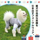 当営業日に日本倉庫から出荷可能 ペット スーツセット ドッグ 犬 服 タキシード ベスト シャツ 2点セット グレー 結婚式 フォーマル リングドッグ 記念日 ...