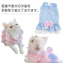 キャットウエア ペットウエア 猫 かわいい レース チェック 可愛い ブルー ピンク 犬 S M L XL 2XL 服 姫 ボタン式 大きいサイズ プレゼント ...