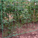 家庭菜園 つるものネット つる植物 10cm角目 野菜ネット 栽培ネット 園芸ネット