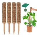 4点セット 園芸支柱 ココスティック 観葉植物 長さ30cm/40cm/50cm ココナッツ支柱 ガーデニング用 花ささえ モンステラ支柱 植物サポート トマト...