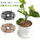 6枚セット 植木鉢グリッド 植木鉢カバー ガードカバー 植物ポットカバー 植物土壌グリッドカバー 再利用 ABSプラスチック製 植物 屋内 屋外 フラワー プロテクターキャット 猫犬掘り防止 犬 猫掘りストッパー 盆栽 プランター メッシュ 排水 土壌保護