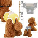 犬服 ドッグウェア サニタリーパンツ サニタリー バンド 犬 チワワ 小型犬 サニタリー 服 サニタリーベルト おむつ オムツ マーキング防止 マナーパンツ 生理 ナプキン カバー 生理用品 衛生 お出かけ しつけ用品 犬 ヒート 女の子 メス 雌避妊 介護 かわいい