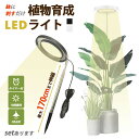 ★2倍★植物育成ライト LED タイマー 植物育成LED 観葉植物育成ライト 10階段調光 72LEDランプ 太陽光 室内栽培ライト 光補足 日照不足解消 植物...