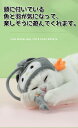 猫じゃらし 頭 装着 帽子 かわいい ひとり遊び 面白い おもちゃ 4カラー 映え 猫用おもちゃ 魚 羽根 鈴 頭装着 からかい 猫棒 自己娯楽 ヘッドギア 子猫用 インタラクティブ 流行り 運動不足 じゃらし