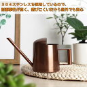 ミニ じょうろ ジョーロ おしゃれ 300ml ステンレス ミニジョーロ 子ども用 小さめ 室内 北欧 アンティーク ブロンズ シンプル 高級感 ちいさい 観葉...