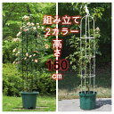 オベリスク アイアン トレリス バラ用 ガーデン 支柱 花支え つるバラ 薔薇 庭 ガーデニング 誘引 操作簡単 金属製 簡易組立式 高さ調節可能 つる性植物 ...