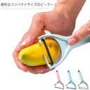 ピーラー Y型 皮むき器 2個セット 皮むき 芽取り こそぎ刃 スライサー 皮引き ピーラー りんご 皮むき器