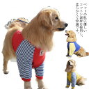 犬の服 大型犬 ドッグウエア パーカー 長袖 部屋着 抜け毛防止 パジャマ 寝間着 柔らかい かわいい おしゃれ 散歩 お出かけ 通気性 オールシーズン