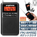 ★2倍★ラジオ 防災 小型 おしゃれ ポータブルラジオ ポケットラジオ AM/FM ワイドFM 携帯ラジオ ミニーラジオ 防災ラジオ 高感度 小型 おすすめ DSP FM ラジオ AM ラジオ 時計 アラーム