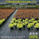 ★超P祭り 限定ポイント2倍★防草シート 50m X 1m 除草シート 園芸用シート 雑草シート UV剤入り 高透水 農業 家庭用 園芸用 除草 雑草通水性 砂利 杭 ガーデニング 駐車場 家庭菜園 耐久年数約3年 人工芝 雑草