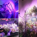 ★2倍★植物育成ライト LED植物育成灯 観葉植物 4ヘッド式ライト 2個セット 5v 10段階調光 自動ON/OFF 室内/水耕栽培ランプ タイマー付き 4灯...