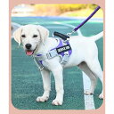 犬 ハーネス 胴輪 小型犬 中型犬 大型犬 簡単装着 ハンドル付き 頑丈 抜けない 脱げない ペット用ハーネス ネーム 柔らかい 通気性 ペット お散歩