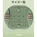 足つぼマッサージ 指圧板 自宅トレーニング 超慢走 足裏刺激 健康器具 床置き 薄型 軽量 TPE素材 省スペース デスクワーク 疲労回復 血行促進 マット フィットネス ステッパー代替 ミントグリーン サクラピンク スカイブルー ラベンダー パープル XX-