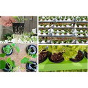 育苗ポット 水耕栽培ポット 30個セット メッシュポット 植木鉢 かご 容器 円筒 育苗 育成 野菜 花 植物