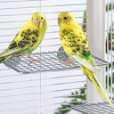 鳥用ステージ 止まり木 台 踏み台 足置き 鳥かご 網 ステンレス 鳥 インコ オウム 文鳥 鳥用品 ペット用品 取り付け簡単