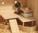 小動物用テーブル 小動物用ハウス ペット用品 ハムスター モルモット 階段 テーブル ステップ 木製 ペットのおもちゃ おうち かわいい ナチュラル