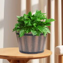 排水穴付き植木鉢 ホームデコレーション 軽量バレルプランター 植物コンテナ パティオ オフィス 植物 リビングルーム