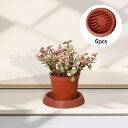 6ピース 植物受け皿 植木鉢 ドリップトレイ 窓辺植物トレイ 植木鉢 屋内屋外プランター用