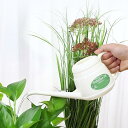 小型じょうろ 園芸ツール 室内植物 観葉植物 温室用