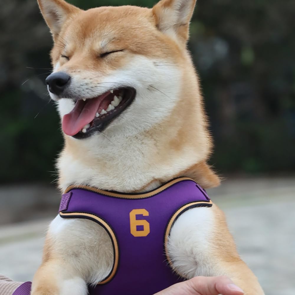 犬用ハーネス 引っ張り防止 ドッグ ペット用品 ハーネスリード 小型犬、中型犬に向け 通気性 (パープル..