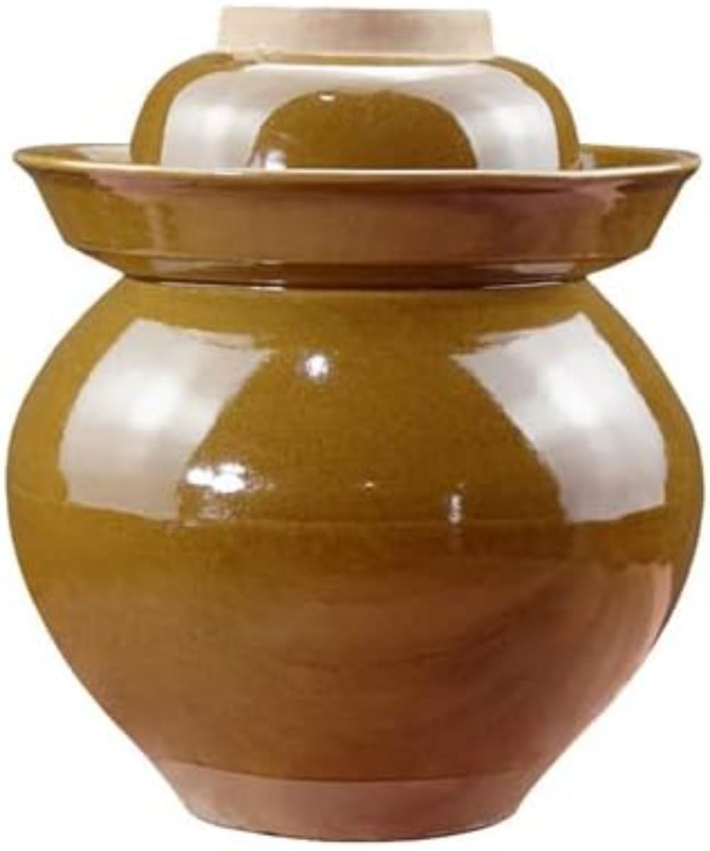 ピクルスジャー、発酵ジャー、ミニセラミックジャ家庭用の厚いセラミックヴィンテージ密封された缶用蓋..