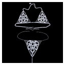 ボディチェーン リーフ型 クリスタル ボディチェーン セクシー ビキニ セット 女性用 エロティック ジュエリー ラインストーン チェーン ブラジャー ショーツ 下着 セット ボディジュエリー 女性用 (セット シルバー)