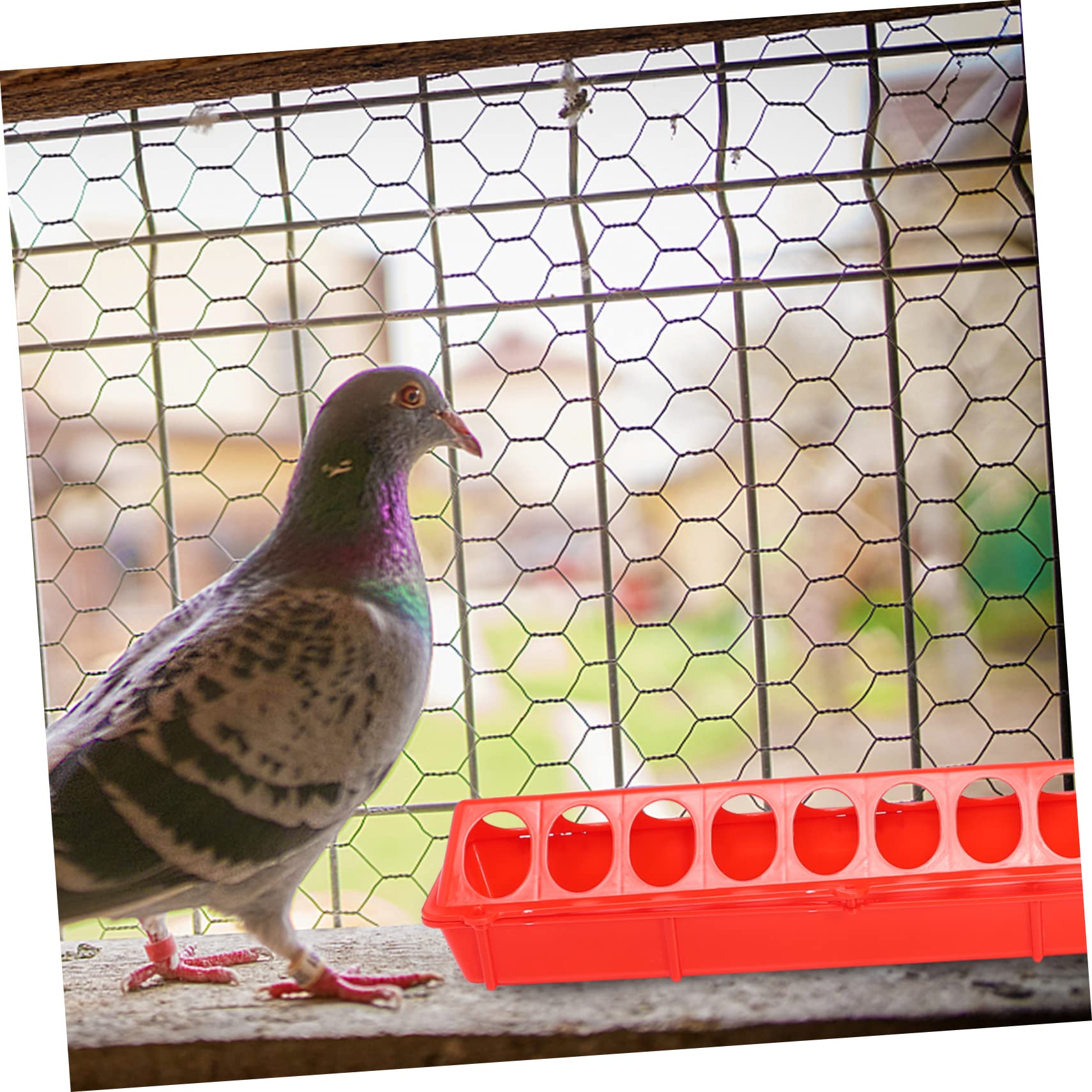 2個 家禽用抗飛散餌台 耐摩耗 耐噛み付き素材 軽量で持ち運び簡単 清掃しやすい取り外し可能設計 実用的な鶏 鴨 ガチョウ用給餌容器