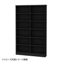 TAIYO OWR オーダーワイドラック 18120スリム ブラック(BK) シンプルなデザイン。